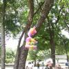 PICT7961