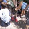 PICT7964