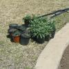 2018 03 22 Neighborhood Gardens