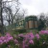 2018 03 23 Neighborhood Gardens