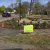 2018 03 24 Neighborhood Gardens
