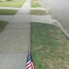 2018 07 04 Independence Day