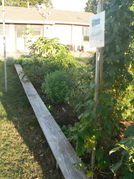 P1330055