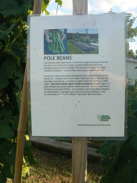 P1330056