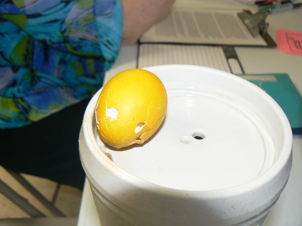 P1330856
