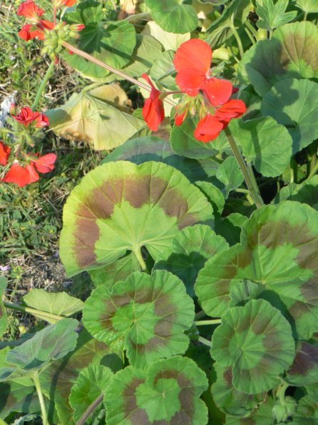 P1340002