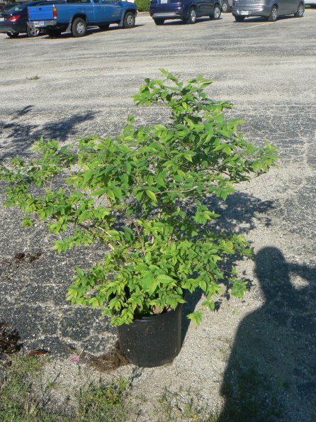 P1340006