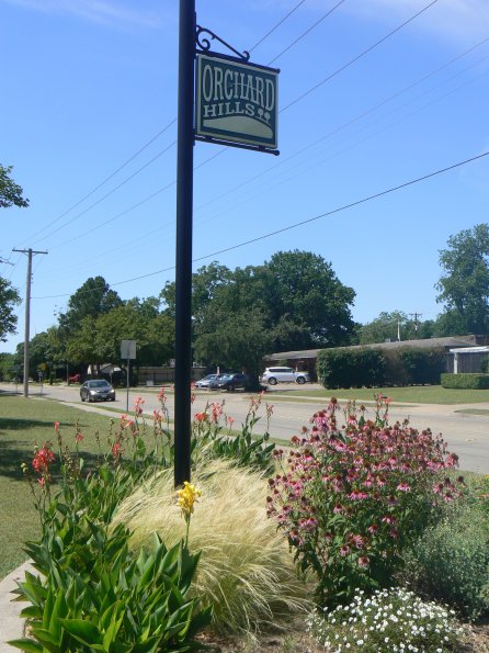 P1350178