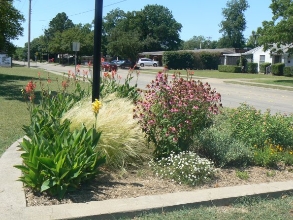 P1350179