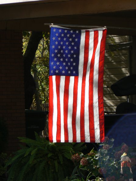 P1350993
