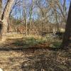 Duck Creek Trail