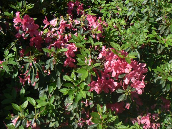 P1370878