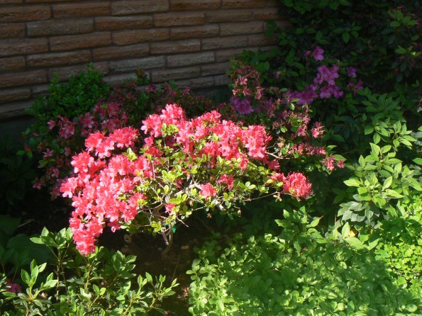 P1370880