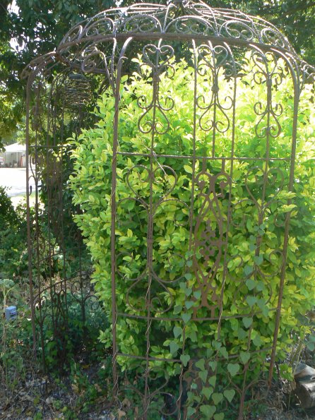 P1380002