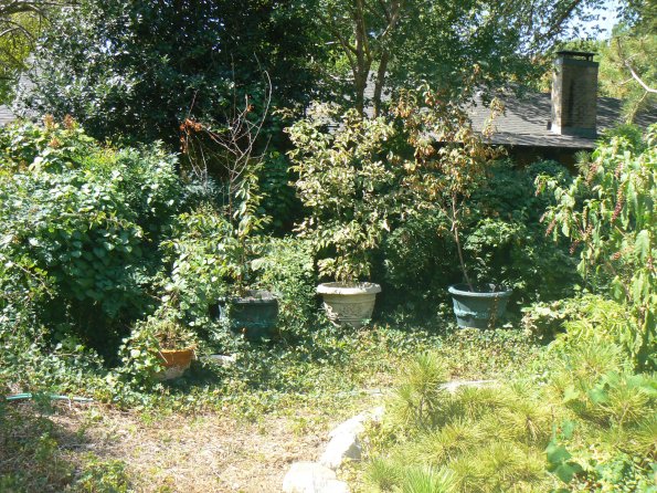 P1380006