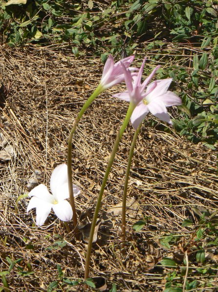P1380013