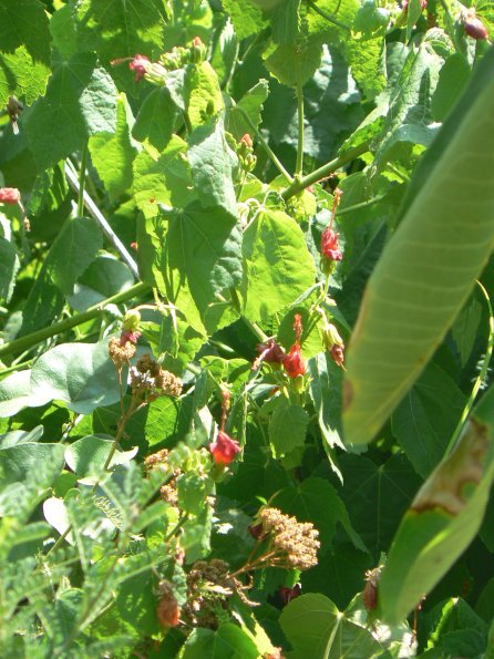 P1380024