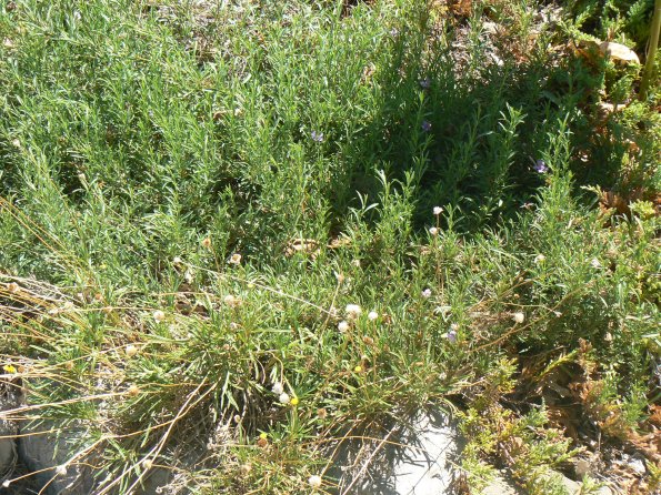 P1380033