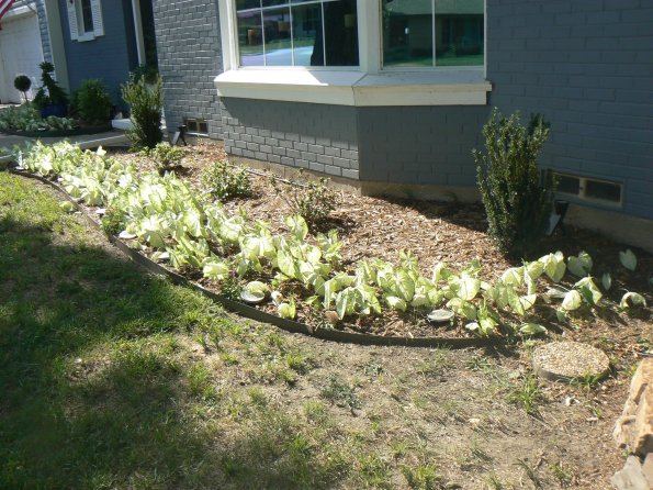 P1390059