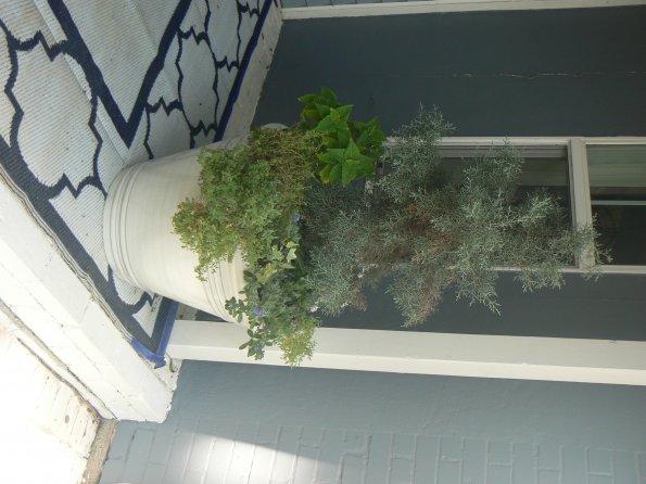 P1390063