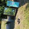 2906 Glenbrook (14)