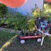 2906 Glenbrook (2)