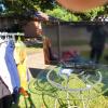 805 Peach Tree (3)