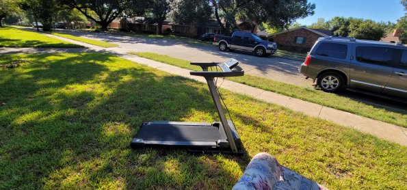 805 Peach Tree (5)