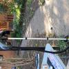 909 Old Orchard (8)
