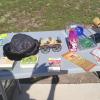 2602 Glenbrook (6)
