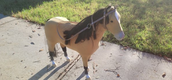 2800 Old Orchard (1)