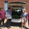 2022 04 13 OHNA Plant Sale